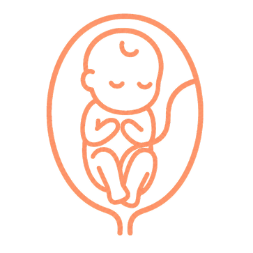 逆子鍼灸のイラスト。